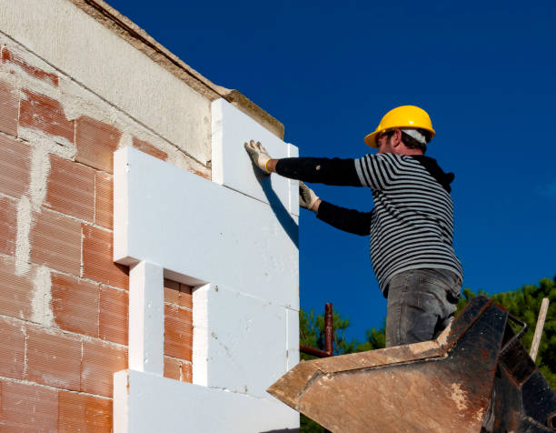 Best Energy-efficient Insulation  in Jefferson, LA