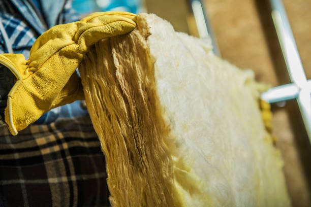 Best Insulation Inspection Services  in Jefferson, LA