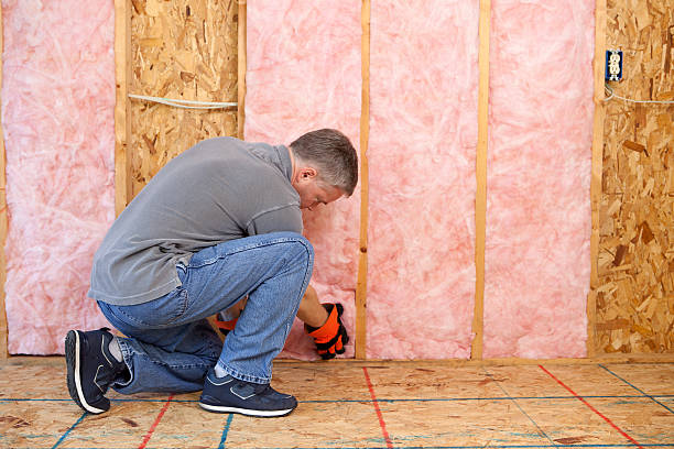 Insulation Replacement Services in Jefferson, LA